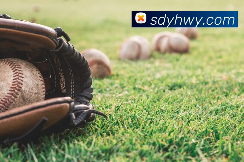 数据分析功能